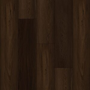 Bodiax | BP370 Estrela 147 - Noir Prestige