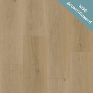 Bodiax | RIGID BP500 Thor 531 - Silt