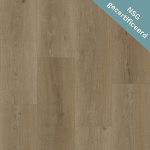 Bodiax | RIGID BP500 Thor 533 - Selenite