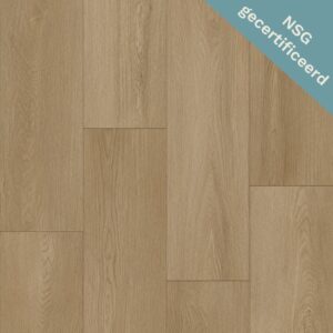 Bodiax | RIGID BP500 Thor 536 - Soil