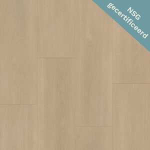 Bodiax | RIGID BP590 Royal 591 - Royalton