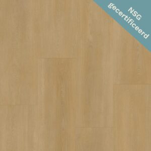 Bodiax | RIGID BP590 Royal 593 - Regency