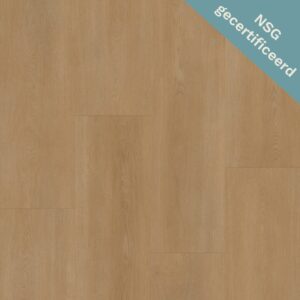 Bodiax | RIGID BP590 Royal 594 - Vendome