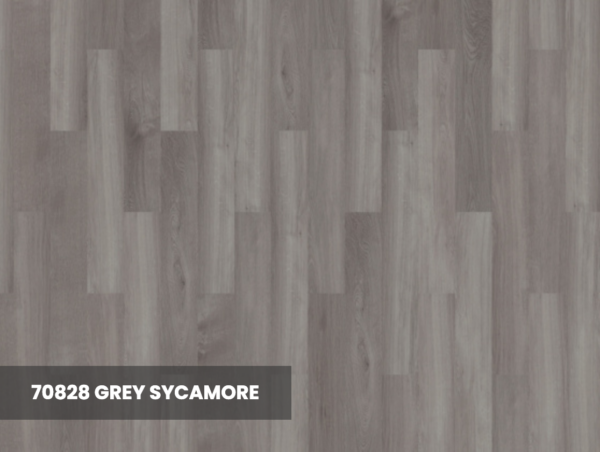 70828 Grey Sycamore