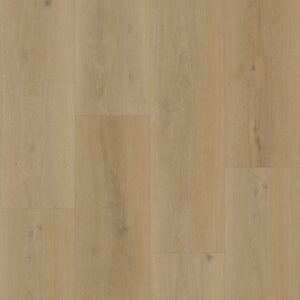 Bodiax | BP300 Longa 331 - Silt