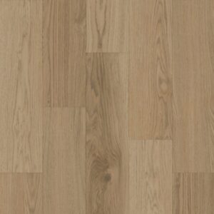 Bodiax | BP370 Estrela 120 - Ibiza Salt