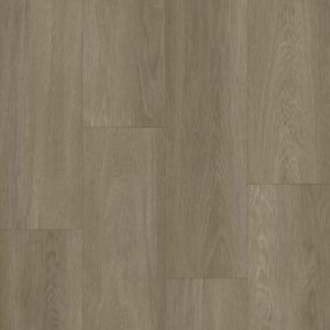 Bodiax | BP370 Estrela 123 - Ash