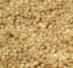 Eurogros karpet Debut