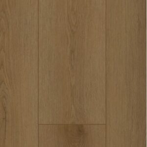 Firmfit Dryback 6503 Sierra Brown