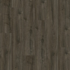 Oakland Dryback 6106 Soil