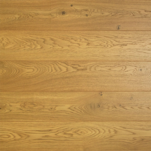 PPC | DD Plank Venkel