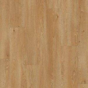 Saffier Serenade | SE601 Vancouver Oak