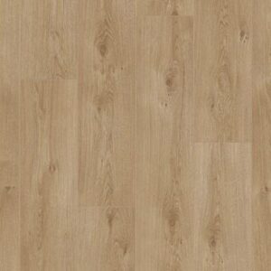 Saffier Serenade | SE680 Edmonton Oak